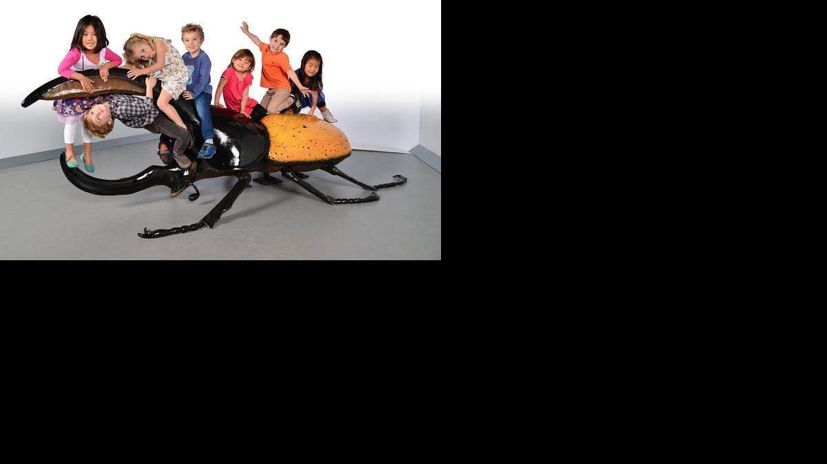 
Hercules beetle model
