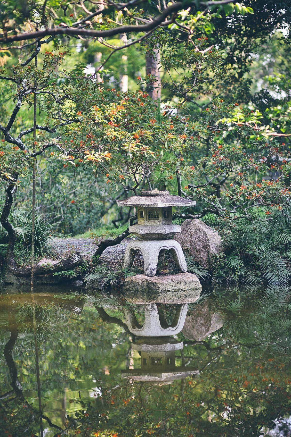Stroll through the Morikami Museum & Japanese Gardens.