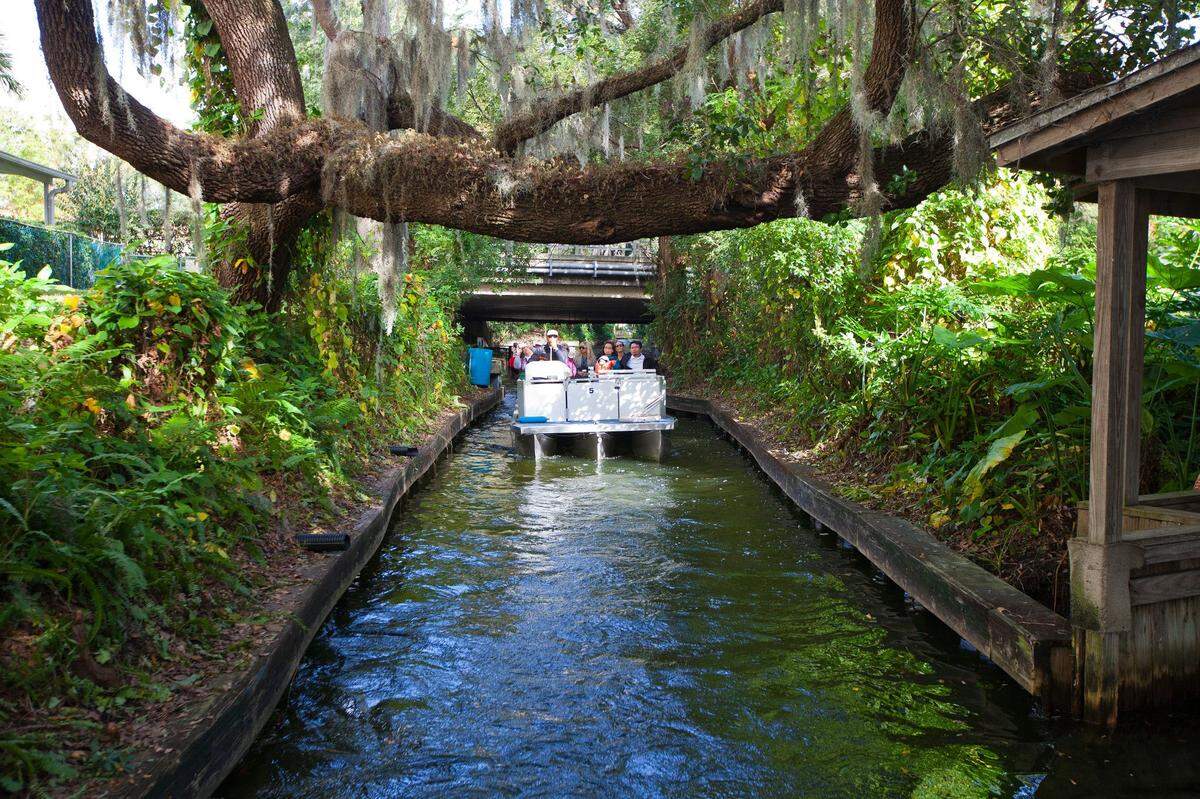 Visitors enjoying a scenic boat tour of Winter Park, FL on a waterway with greenery hanging overhead.