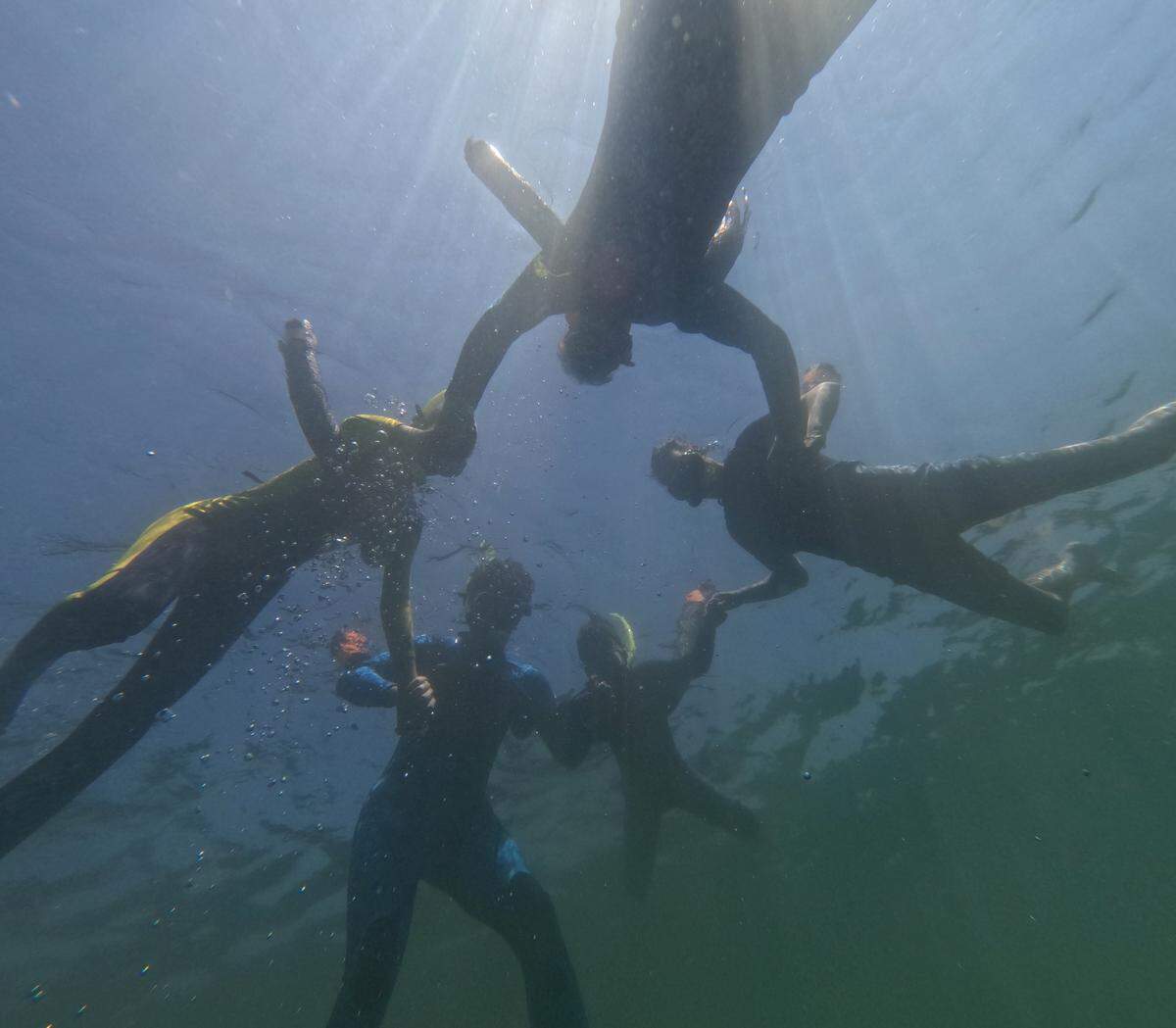 Floating as still as possible on the surface of the water is the best way to view manatees.