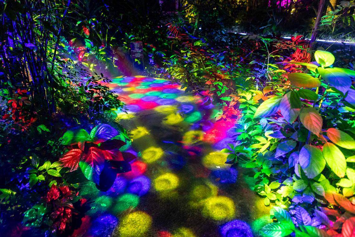 At Fairchild Tropical Botanic Garden, NightGarden brings the holidays to life with glowing art, fairies and dazzling light tunnels.