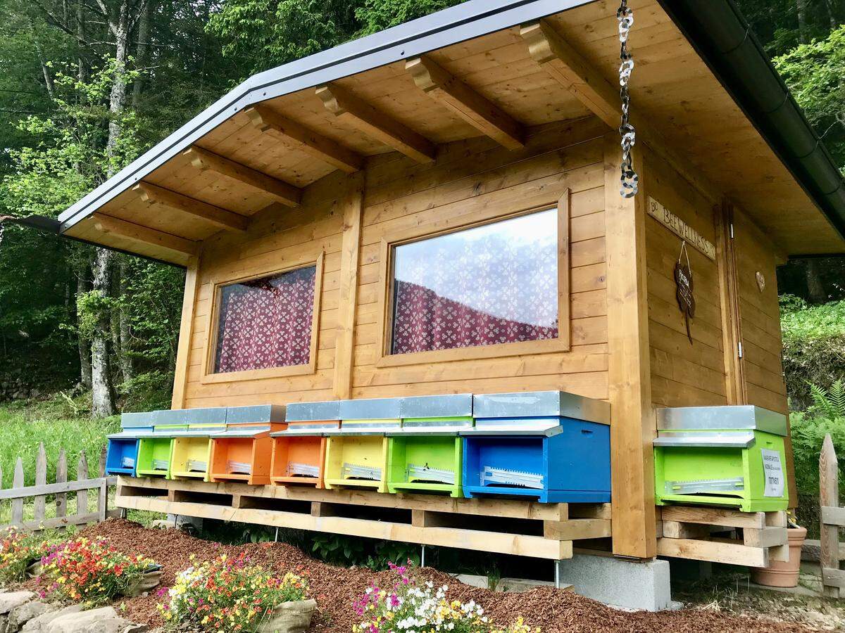 A row of vibrant hives at a bee-wellness retreat, where the soft hum of colonies supports deep relaxation.