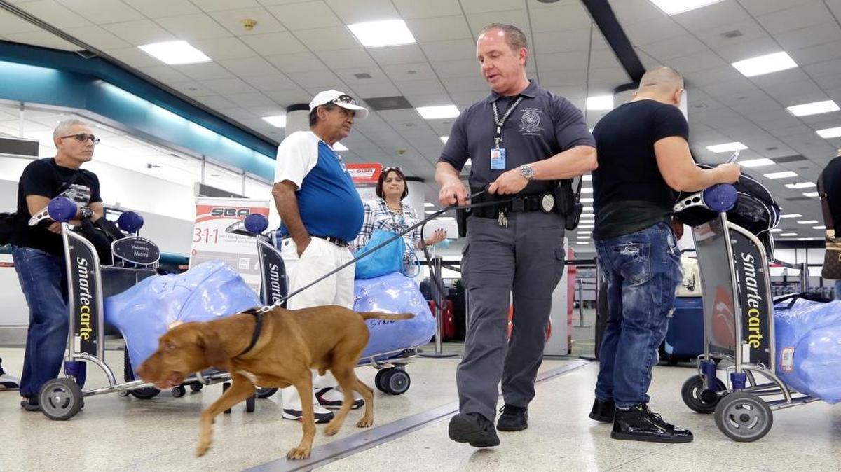 Miami-Dade police officer William Cook, Jr., and his police dog Ringo patrol Miami International Airport in Miami. The House and Senate passed an aviation bill to boost airport security, reduce screening lines and require airlines to refund fees to passengers whose bags are lost or delayed.