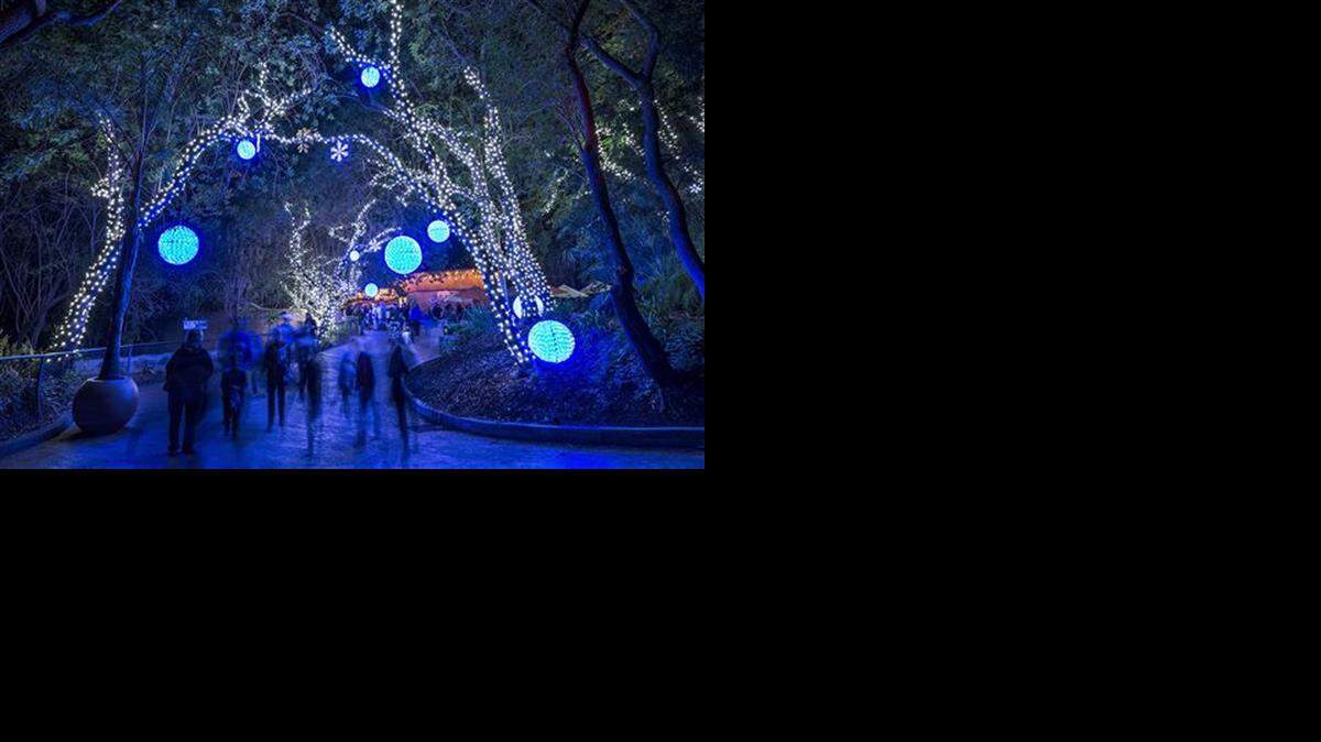 
The Los Angeles Zoo’s inaugural L.A. Zoo Lights experience. 
