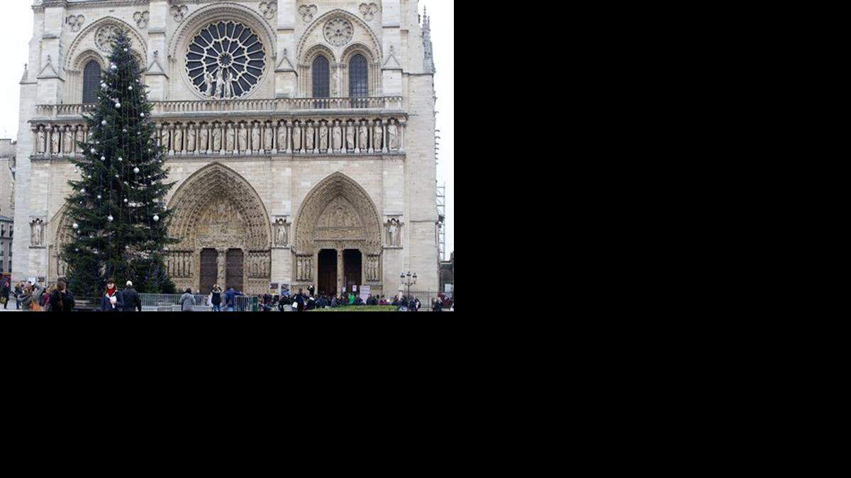 
The Christmas tree in front of Notre Dame cathedral in Paris
