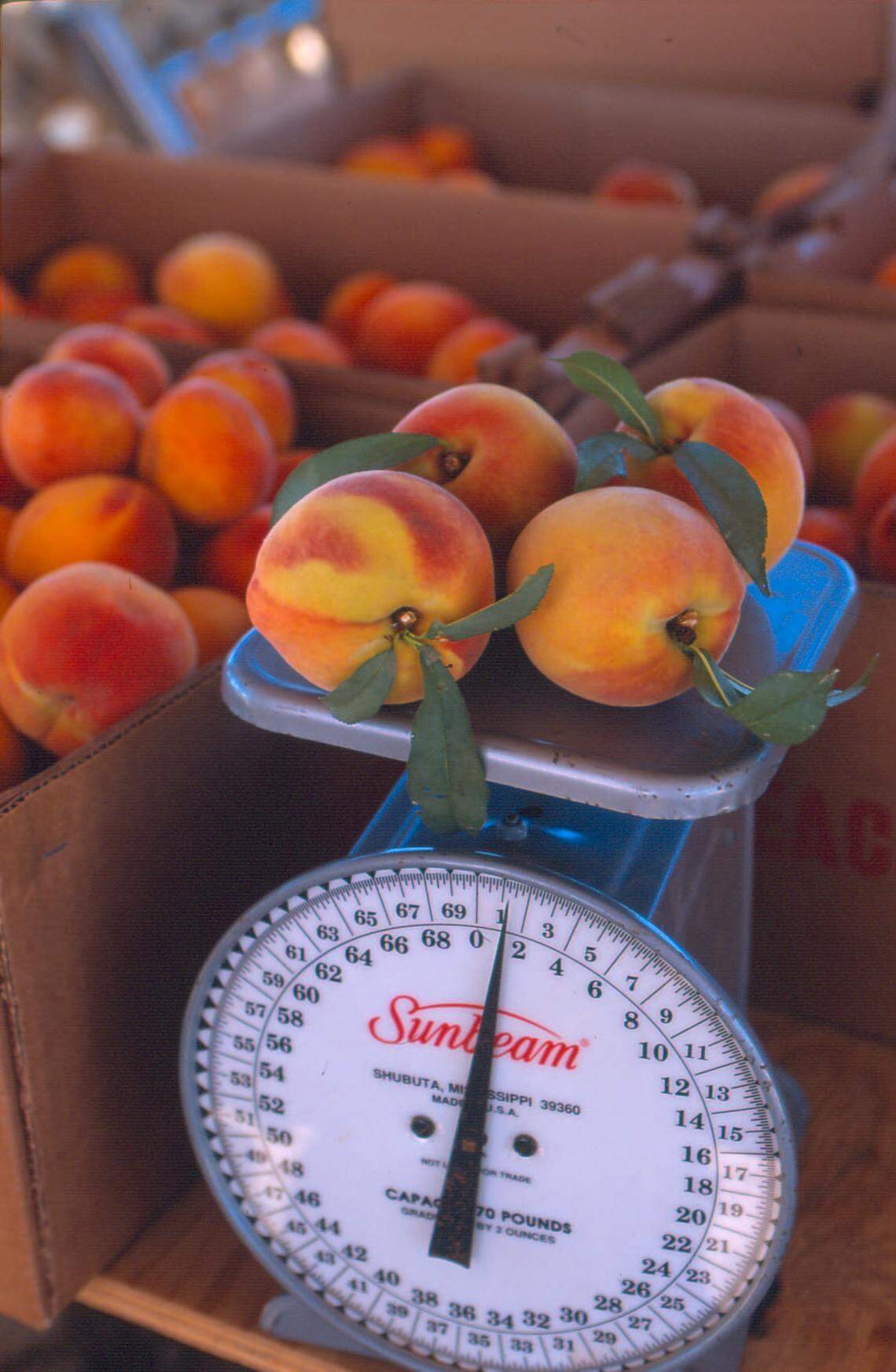 May ushers in peach season along Highway 290, where roadside stands sell everything from fresh fruit to homemade pies.