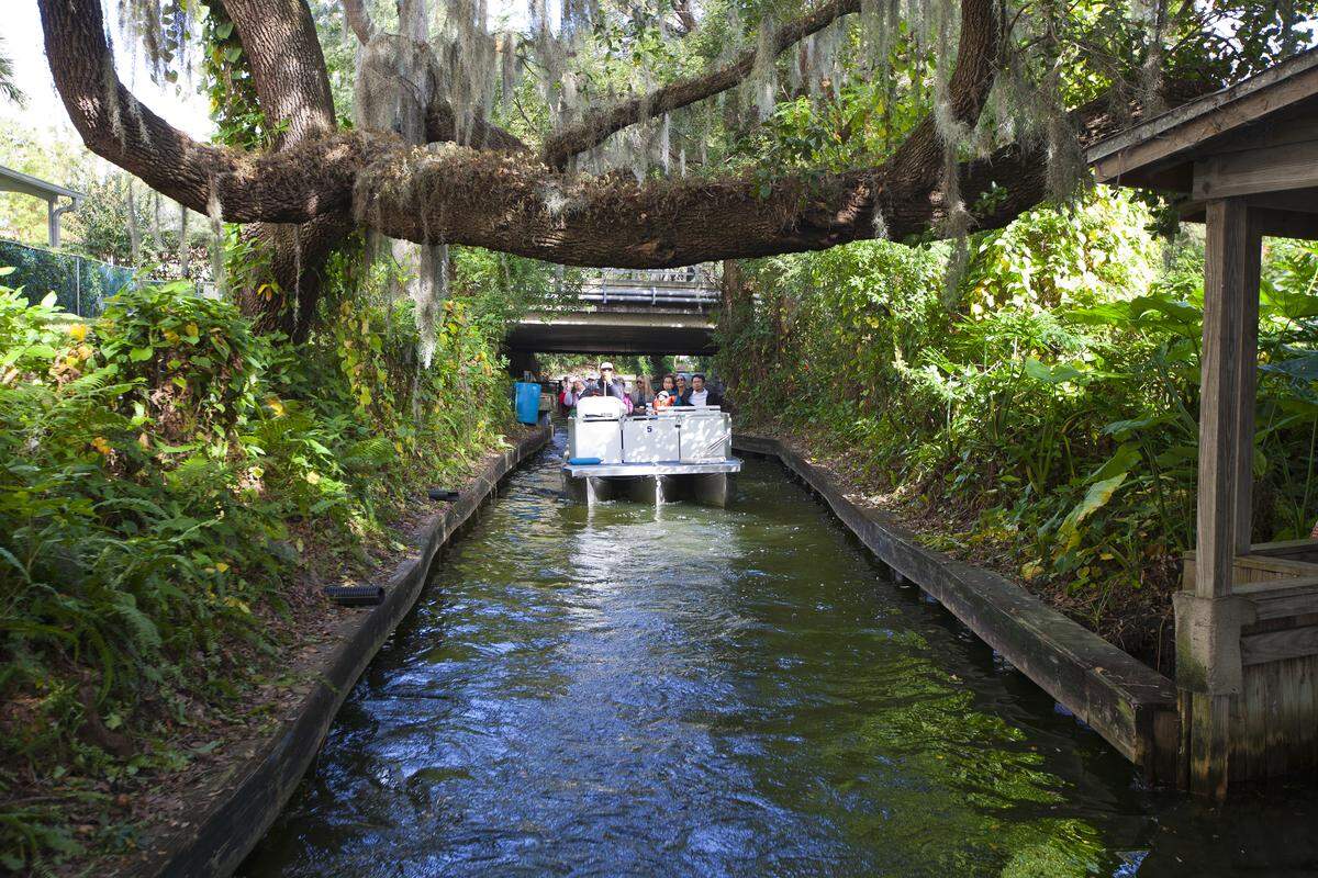The iconic Winter Park Scenic Boat Tour glides through tree-covered canals and lakes.