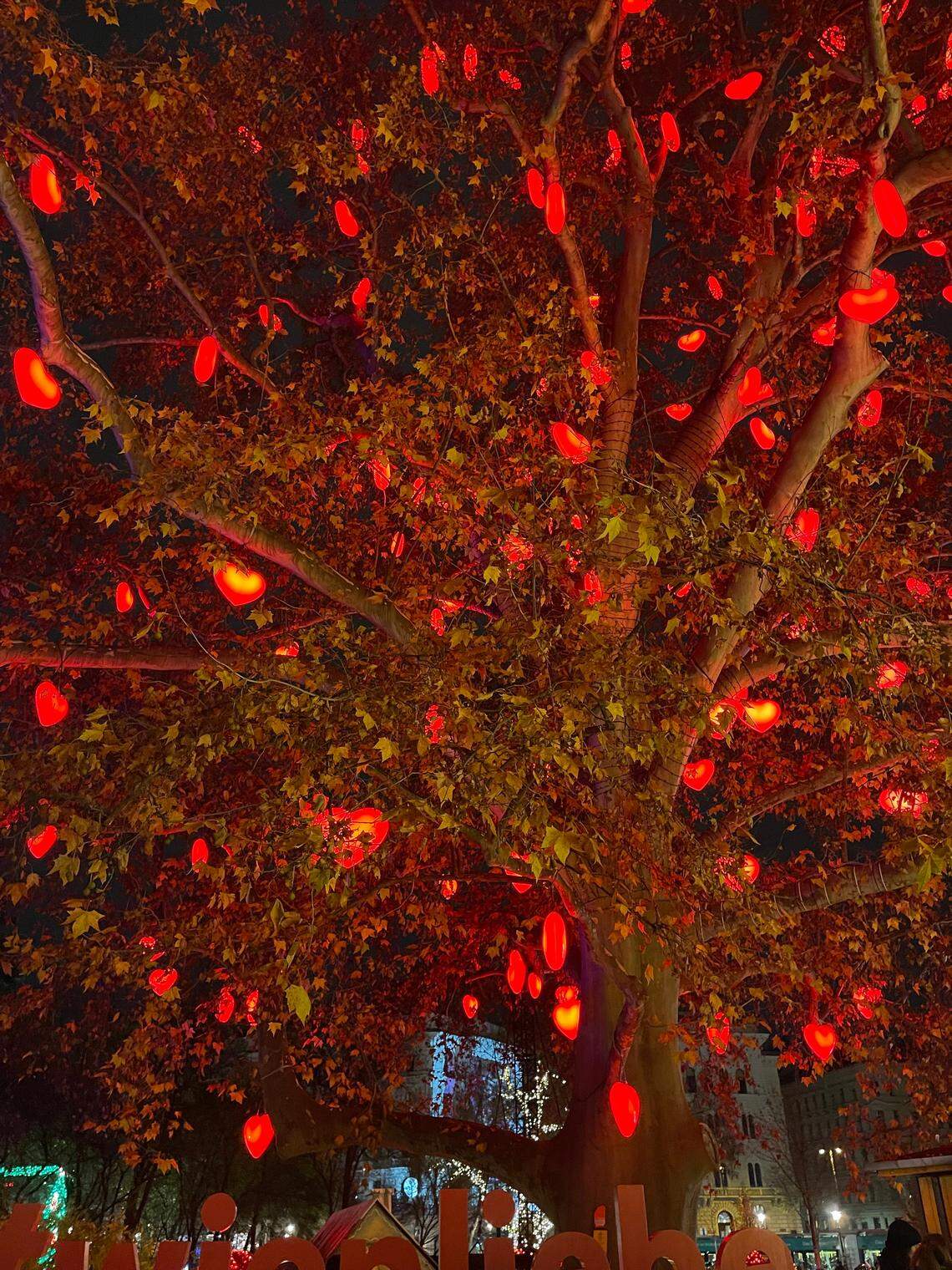 The illuminated heart tree adds a warm glow to Vienna’s Christmas market scene.