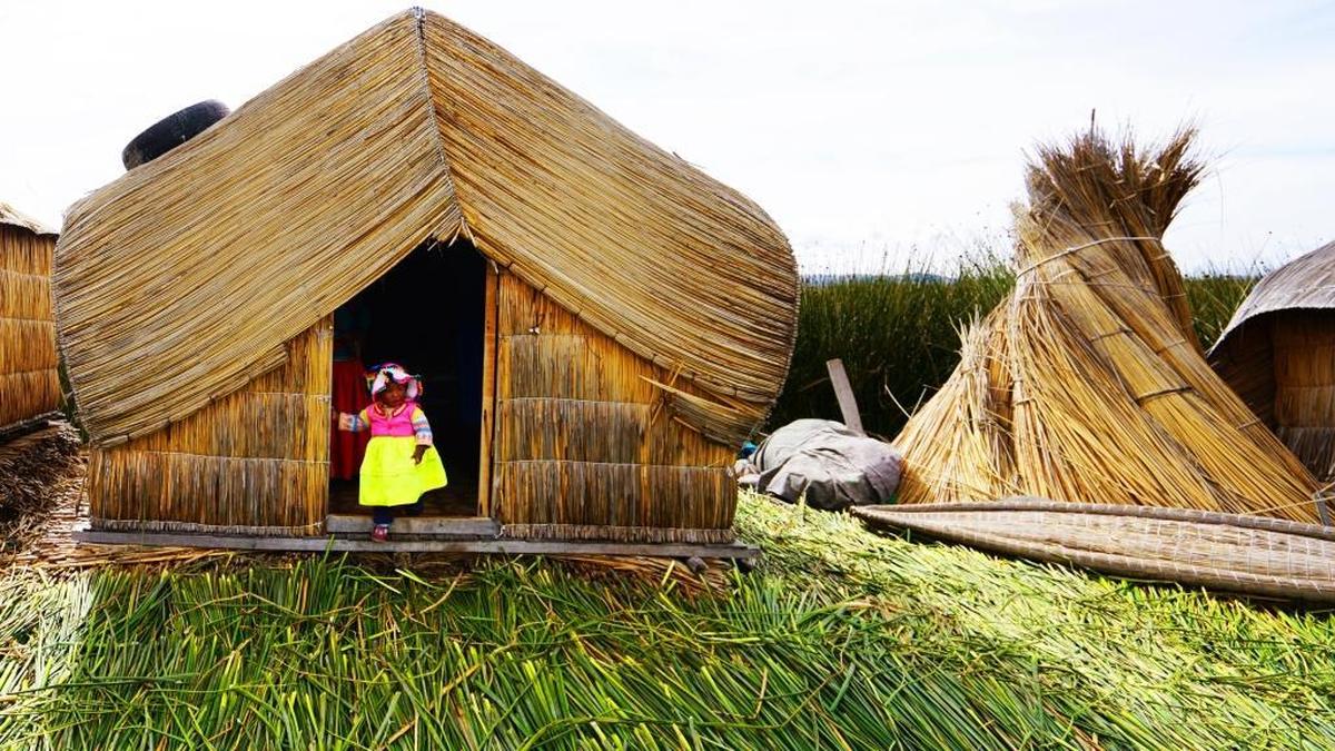 Living on one of more than 50 artificial islands in Lake Titicaca, the Uros use bundles of dried totora reeds to make boats, the islands themselves and almost everything else.