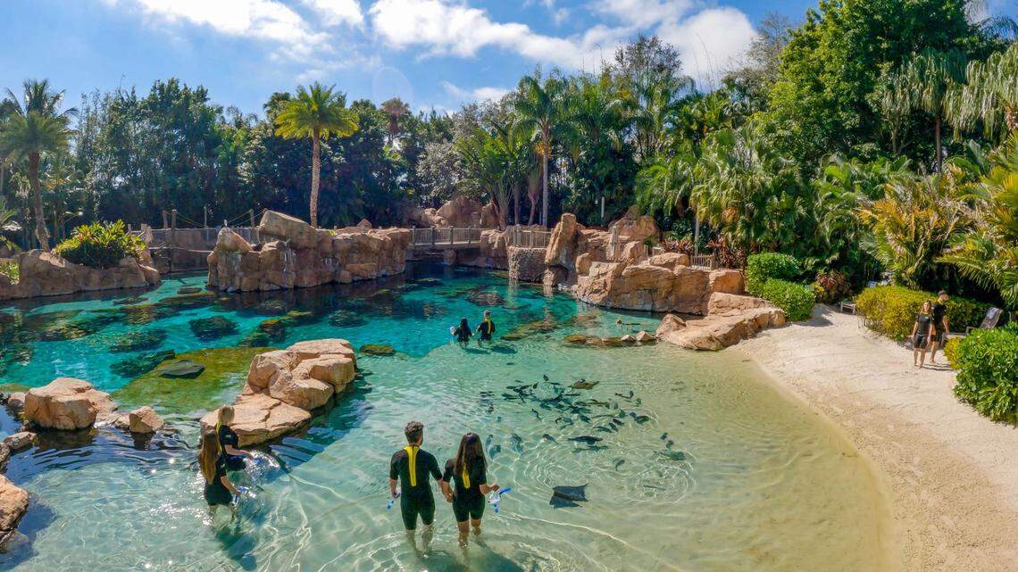 3 couples wading in the grand reef at Discovery Cove where fish and stingrays are swimming.