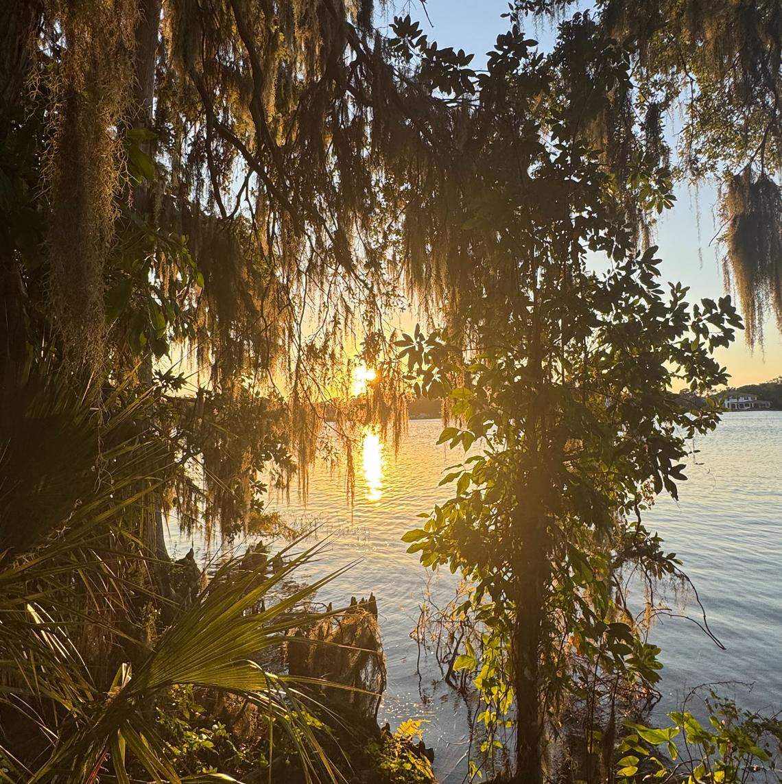Sunset at Kraft Azalea Garden casts golden light across the moss-draped cypress trees on Lake Maitland.