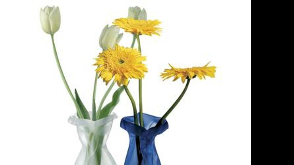 
Miracle Vase
