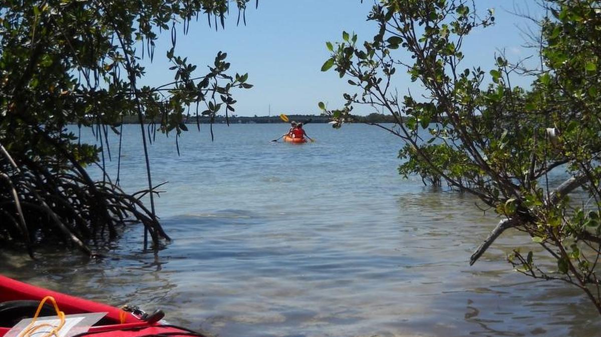 Indian Key, a state park accessible only by boat, is an easy half-hour paddle over shallow water, off the Overseas Highway in Islamorada.