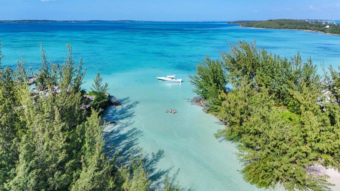 Private boat tours with Conch & Coconut showcase Harbour Island’s clear waters and secluded sandbars.