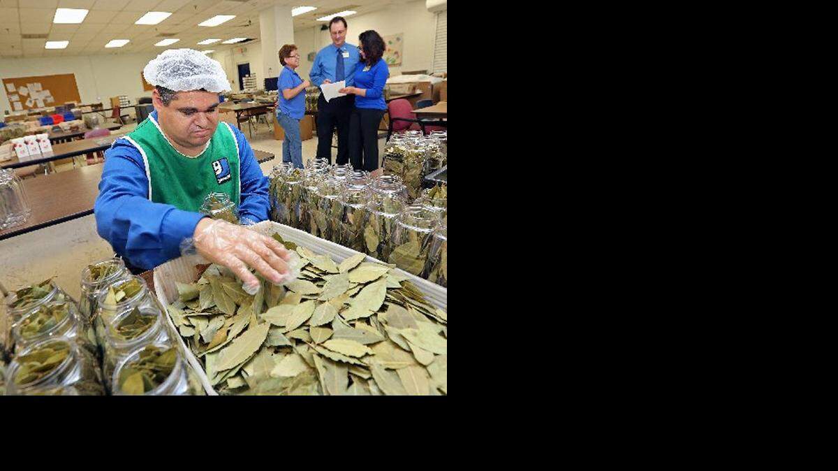 
Armando Montes De Oca works at Goodwill Industries in Miami and packs bay leaves for a program that Goodwill has with Badia Spices. In the background are counselors Marina Vavarro, Paul Flesh and Osiris Funez on Tuesday Nov. 25, 2014
