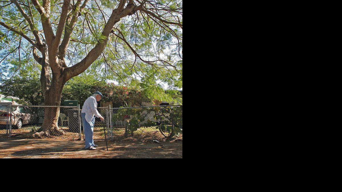 
Pictured is Vicente Perez, who is going through financial difficulty and having a hard time paying his bills. The 79-year-old Cuban American is the sole caregiver for his adult son who suffers from mental health issues. He needs help ridding the house of termites and would like his Royal Poinciana trees trimmed. At the rate he is going, Perez said he will have to stop paying his bills so that he can afford groceries.
