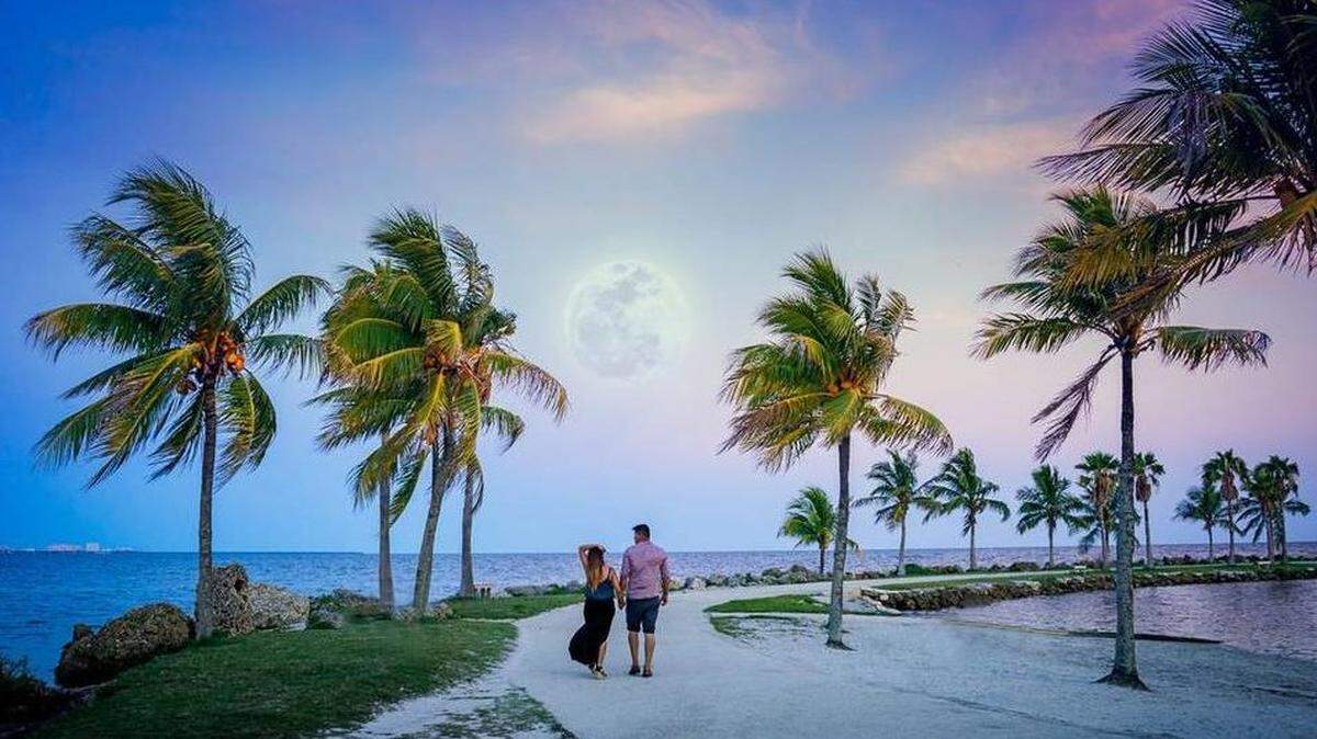 This photo depicts what life in Miami should be. We know the truth involves a lot more screaming.
