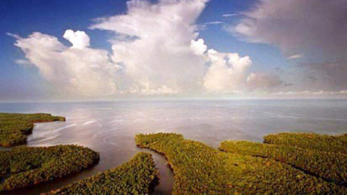 A federal judge rejected a motion by the South Florida Water Management District Monday to end a nearly 30-year-old legal settlement that has ensured Everglades National Park and the Loxahatchee Wildlife Refuge get clean water.