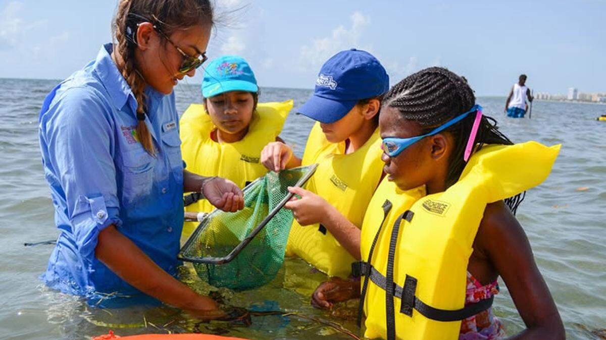 En el Campamento de Ciencia Marina del Biscayne Nature Center, cada niño trabajará con un socorrista certificado en biología marina, con el que realizará todas las actividades en el mar y sus proyectos de arte.