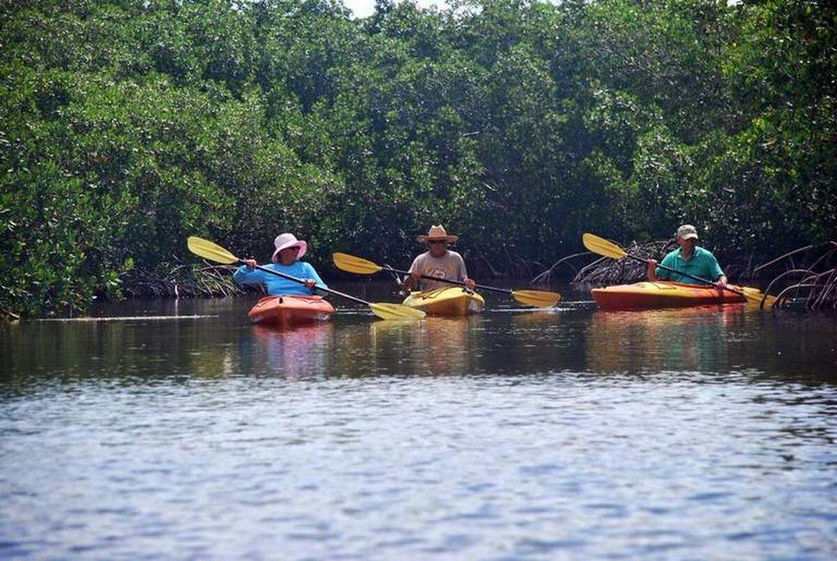 Pine Island es la mayor isla de la costa del Golfo. Tanto residentes como visitantes disfrutan de kayaks o canoas por los canales de Matlacha .