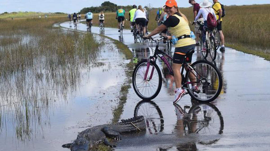 Los cinco mejores lugares para montar bicicleta en Miami