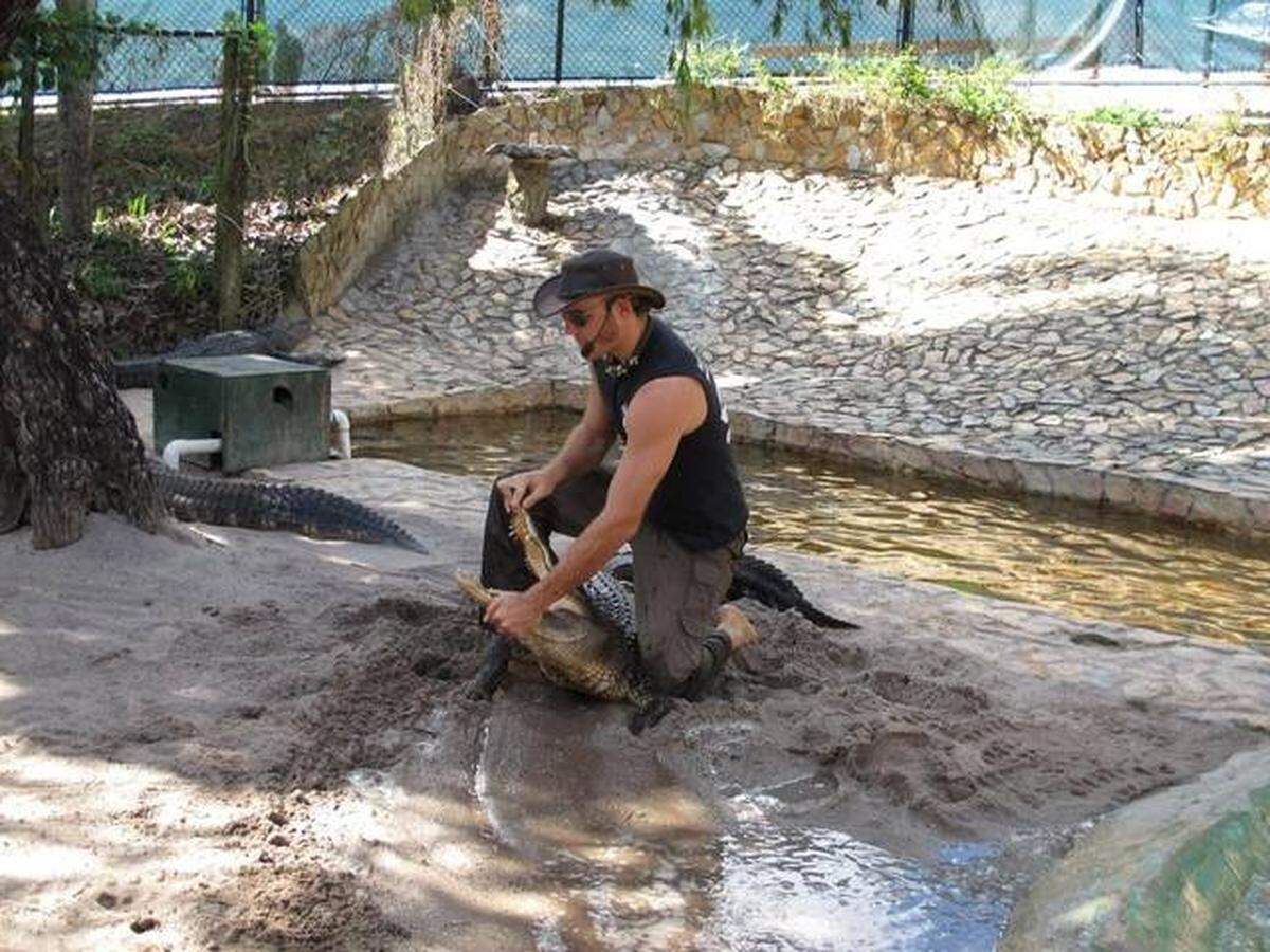 Jimmy Riffle, un cazador de cocodrilo y protagonista del programa ‘Gator Boys’, junto con su compañero Paul Bedard (sin fotografiar), hace una demostración de la manipulación de un cocodrilo, en el parque natural Evergaldes Holiday Park de Broward, Florida (EEUU).