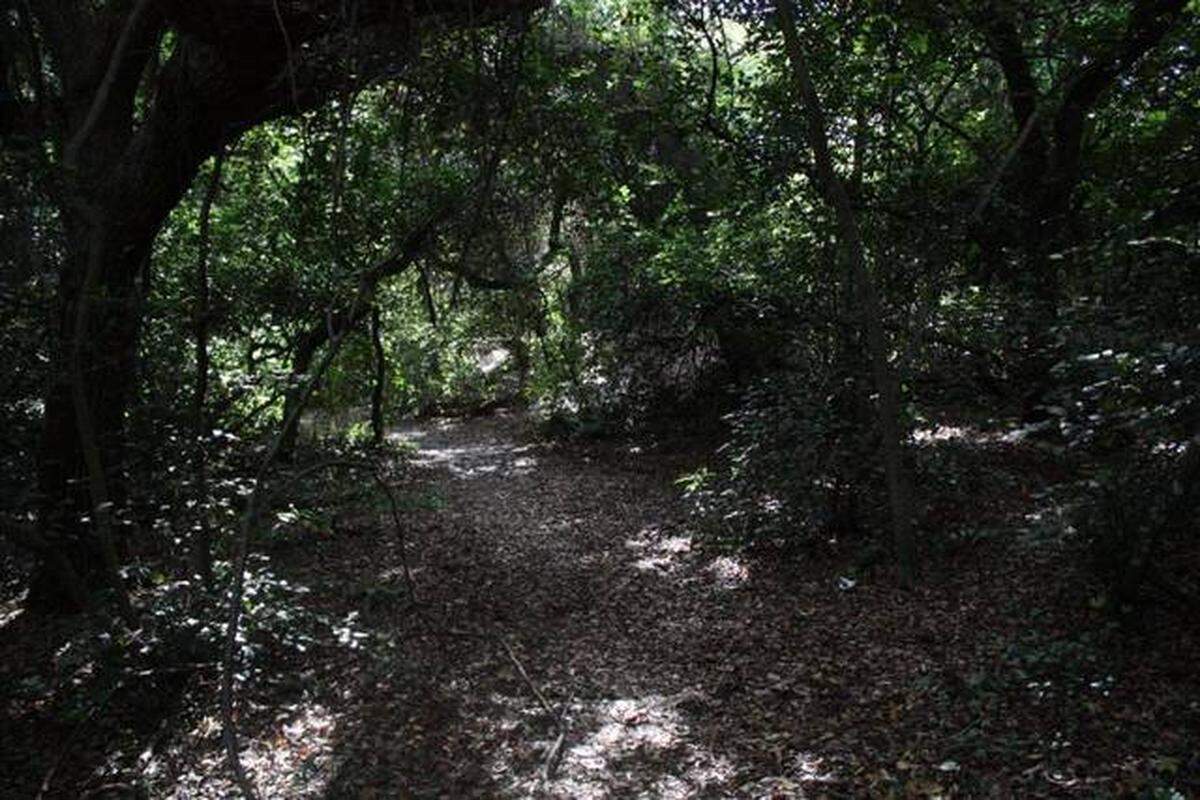 Greynolds Park