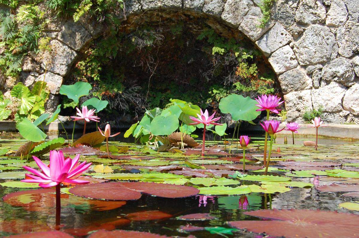 Fairchild Tropical Botanical Garden