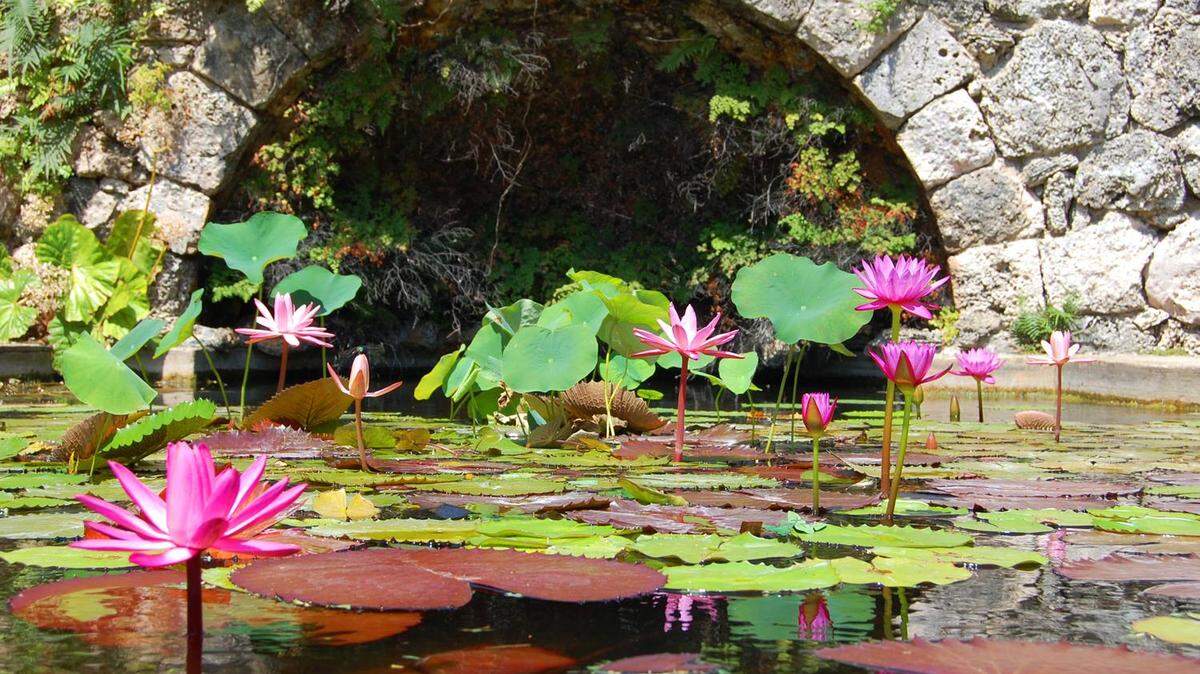 Fairchild Tropical Botanical Garden