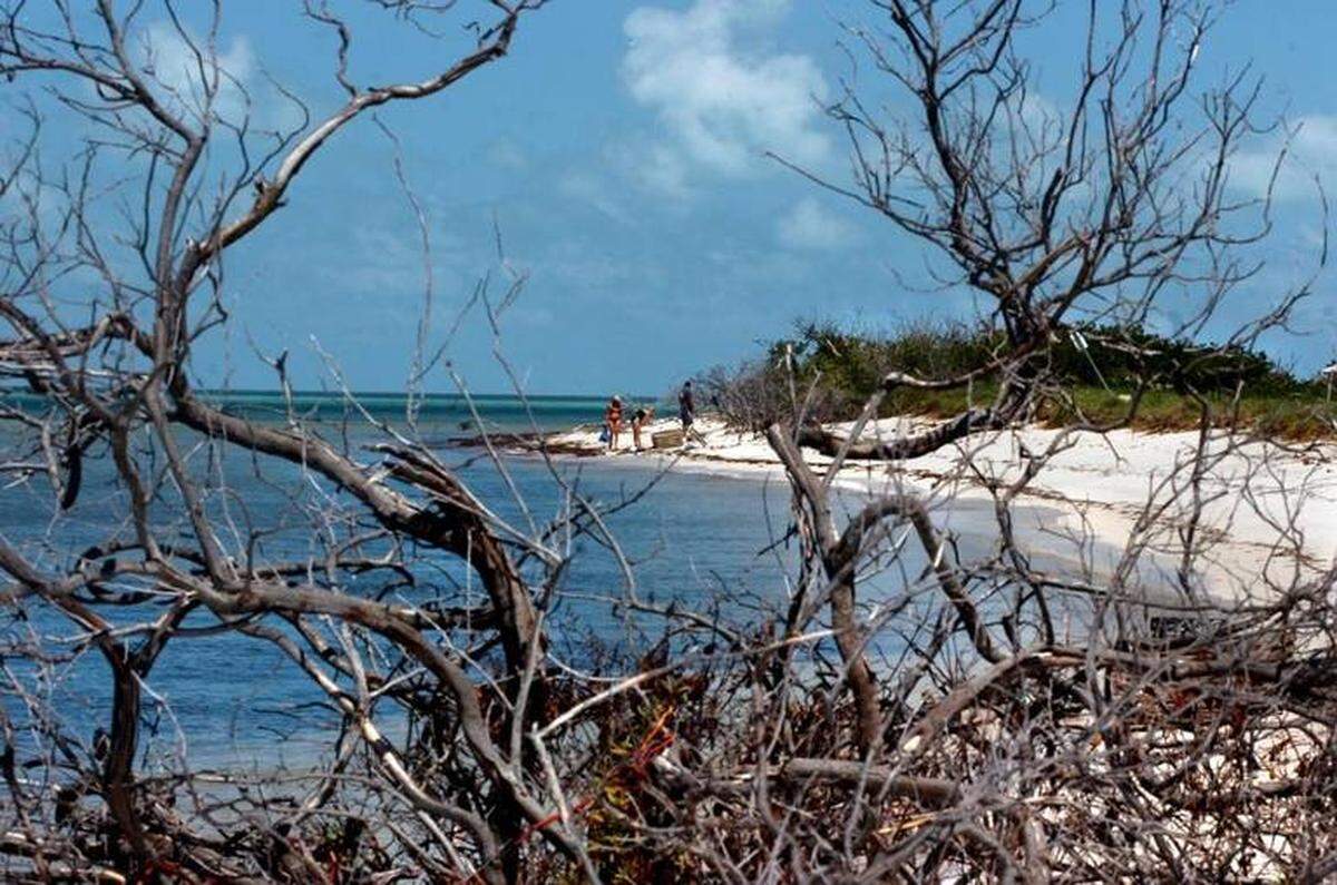 La isla de Boca Grande. Tim Chapman