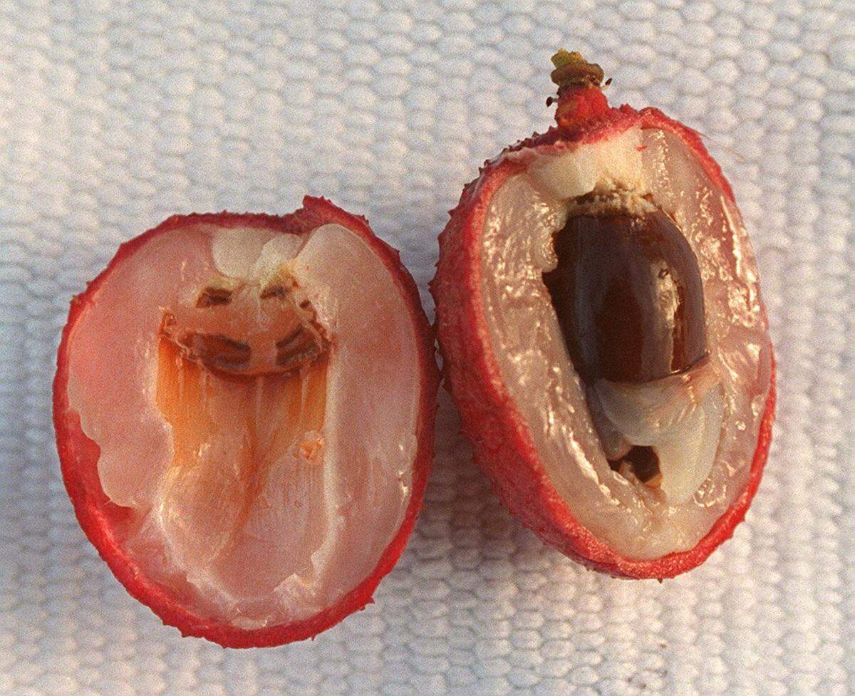 This fruit hates you.