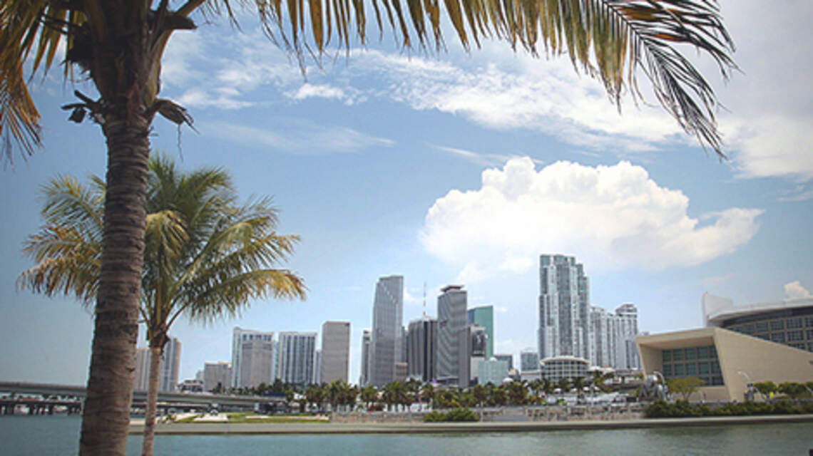11 things to do when you move to Miami