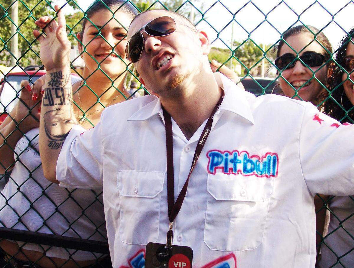 We fully believe Pitbull got this guayabera painted at the youth fair.