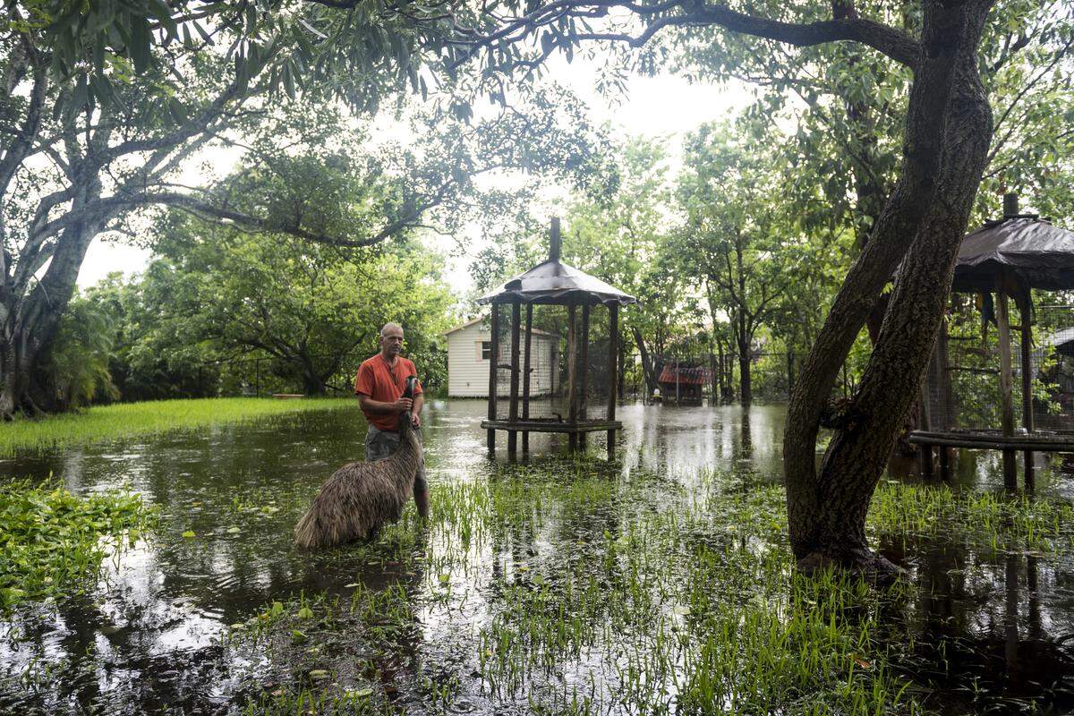 Louis Nicosia, 67, and his pet Emu, Eunice, stand in his flooded backyard in his home in Davie, FL on Wednesday, June 7, 2017.