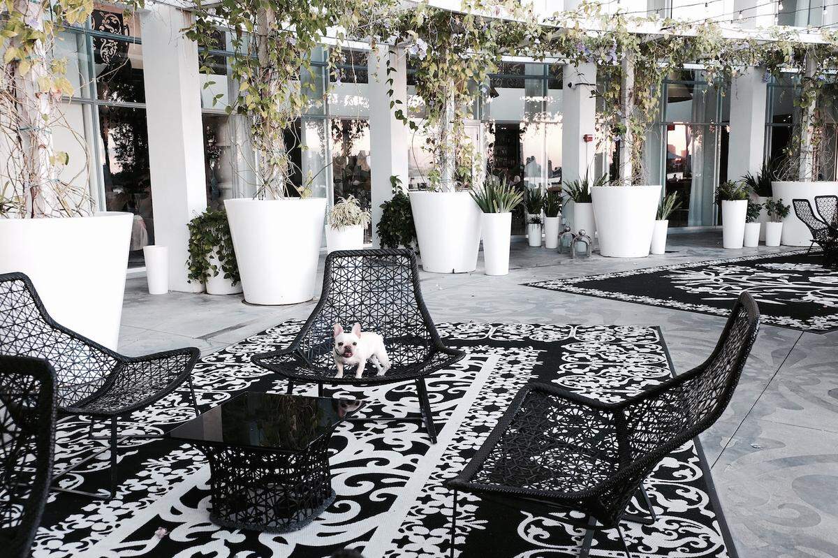 Just being adorable at the Mondrian.
