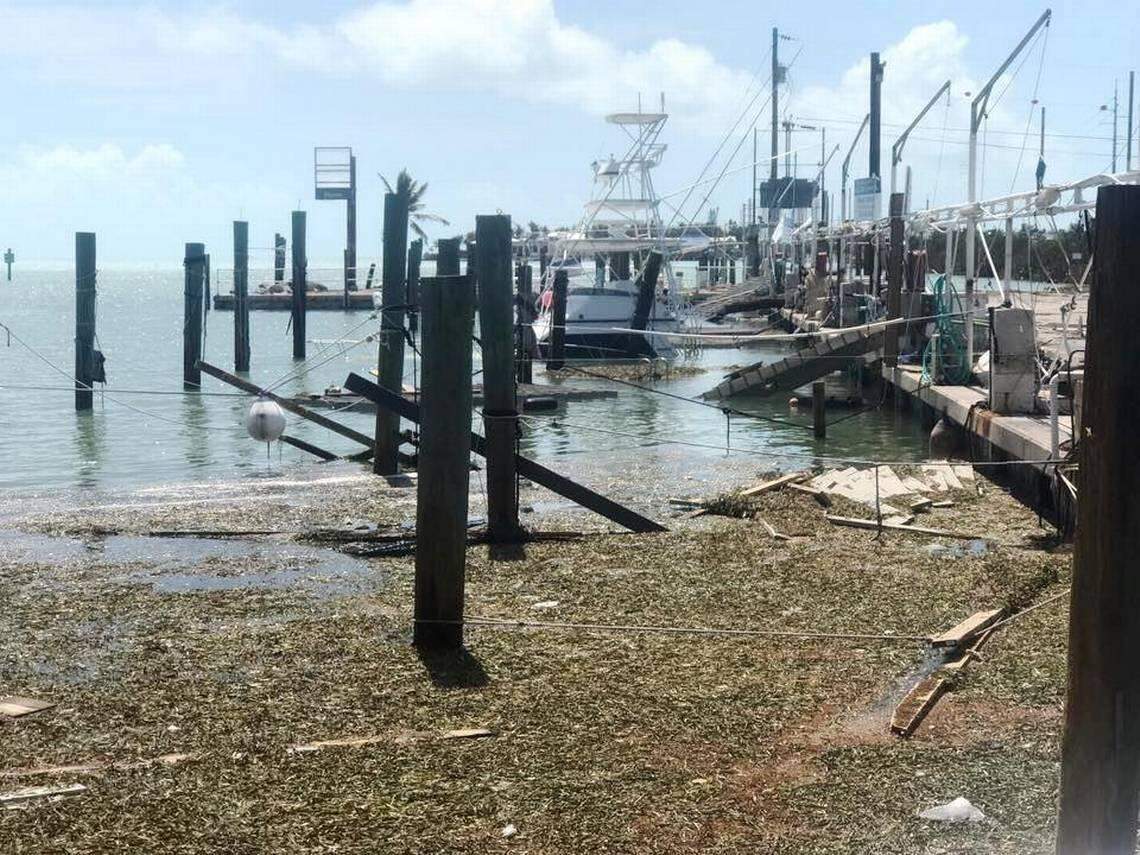 This is charterboat row at the Postcard Inn of Islamorada, seen after damage from Hurricane Irma. Longtime fishing captains at the former Holiday Isle Resort and Marina have been told not to return, pending repairs of uncertain duration.