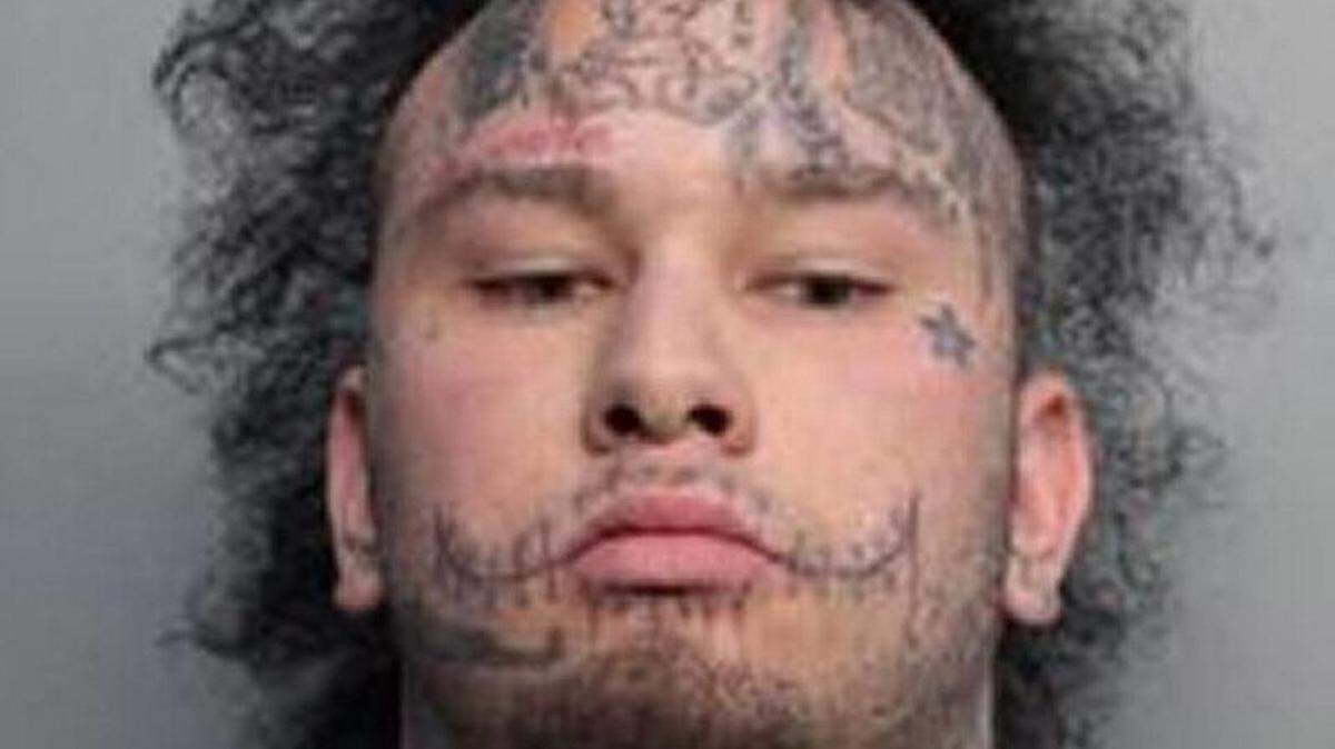 We never want to see Stitches in a mugshot again.