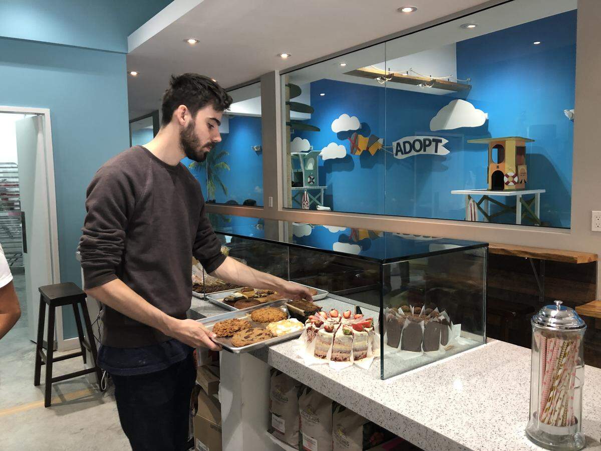 Barista Richard Hankins also adopted a cat from the Cat Café South Beach.