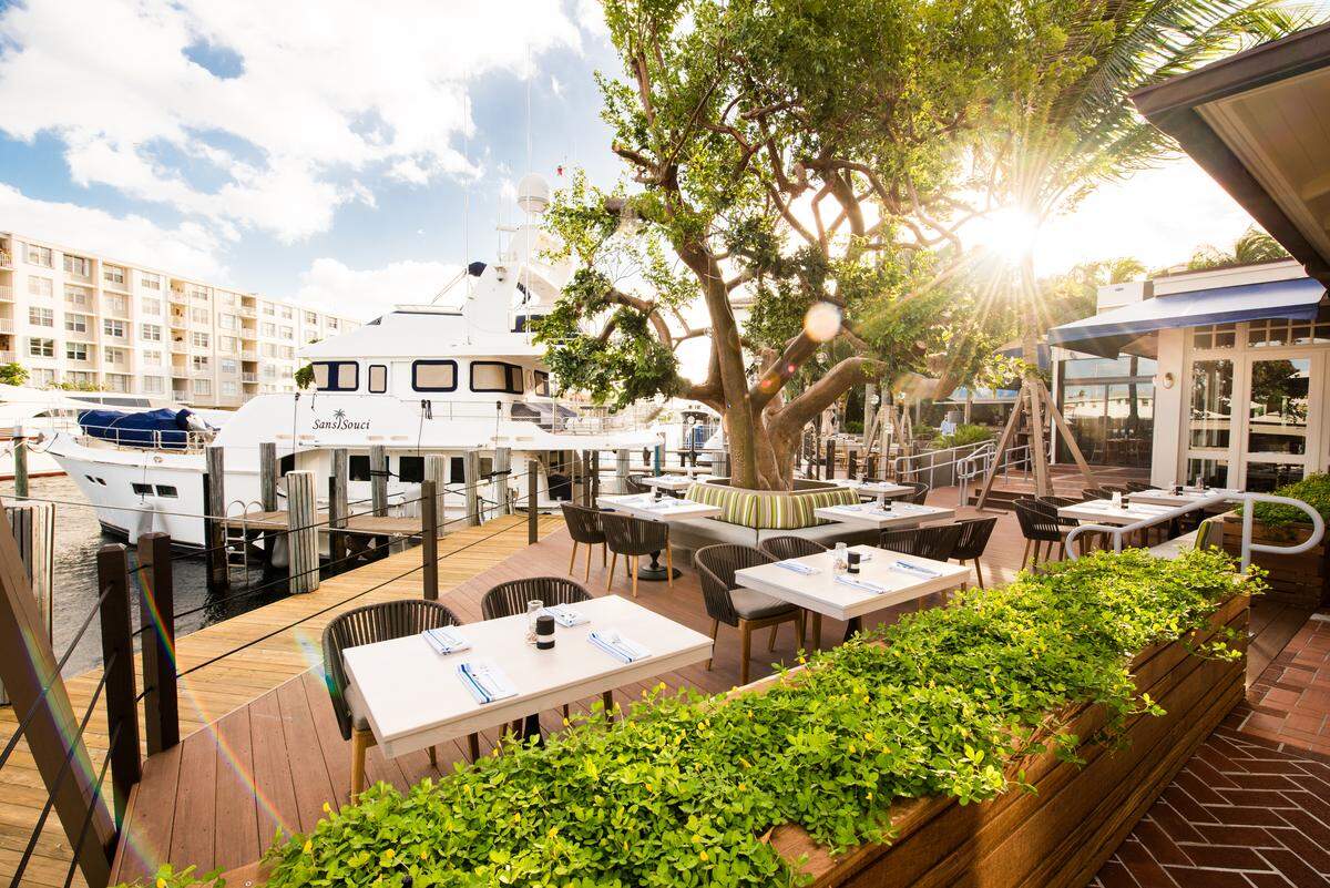 Waterfront view and tree in outdoor patio at Boatyard Restaurant. Handout