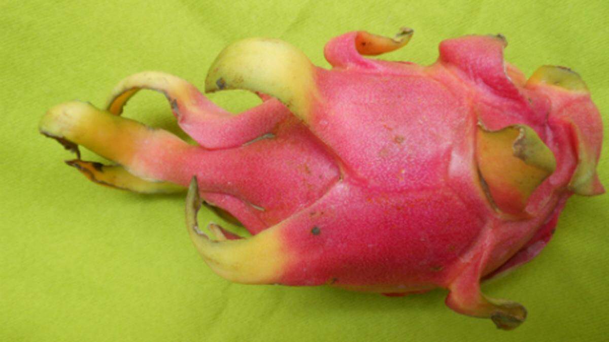 Dragon fruit from Savory Bakery &amp; Cafe in Miami Beach. Photo by Linda Bladholm.