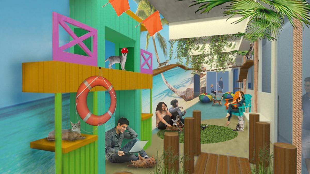 The cat area of Cat Café South Beach will be made up to look like South Beach, including miniature life guard stands.