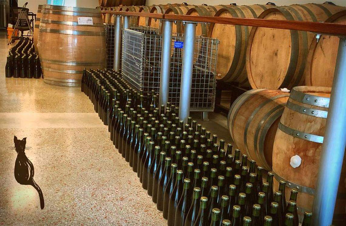 The Odd Breed Wild Ales taproom where they'll release their first bottled beer the Broken Tail this month. (Facebook)