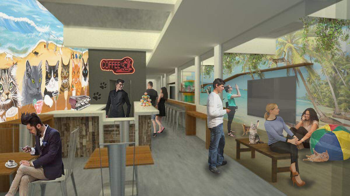Cat Café South Beach will be a combination coffee shop and cat adoption center.