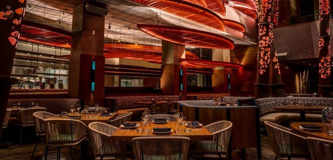 Komodo's outdoor garden dining area