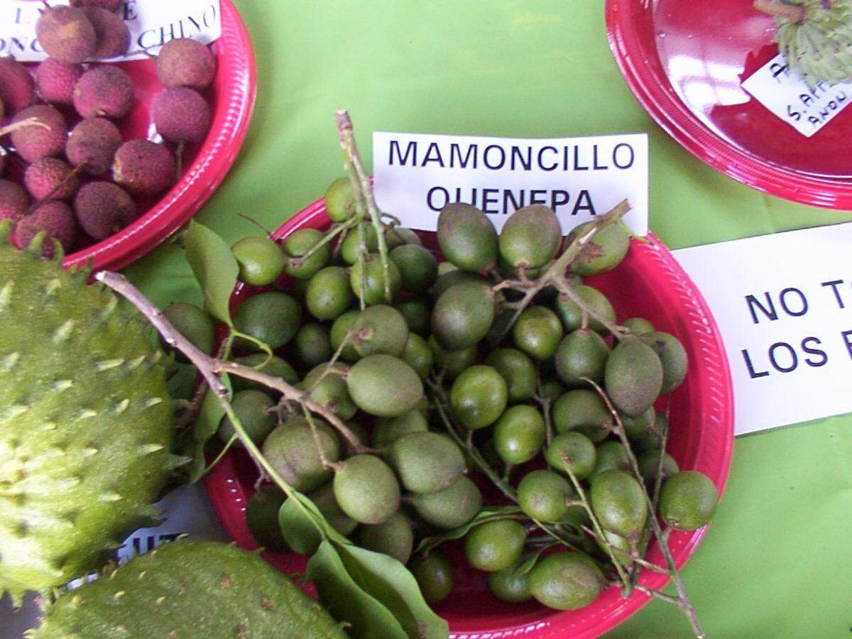 Spanish lime in English. A million names in Latin America.