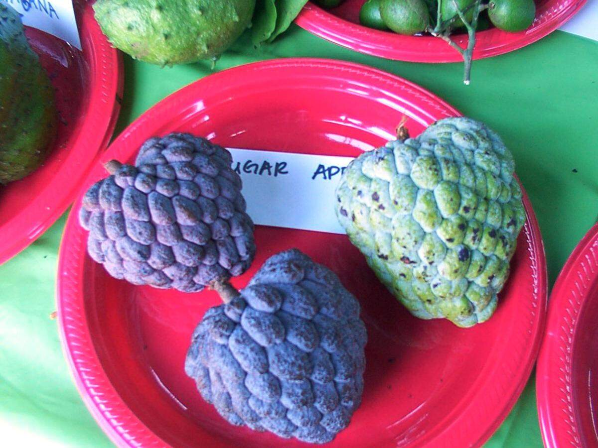Sugar apple