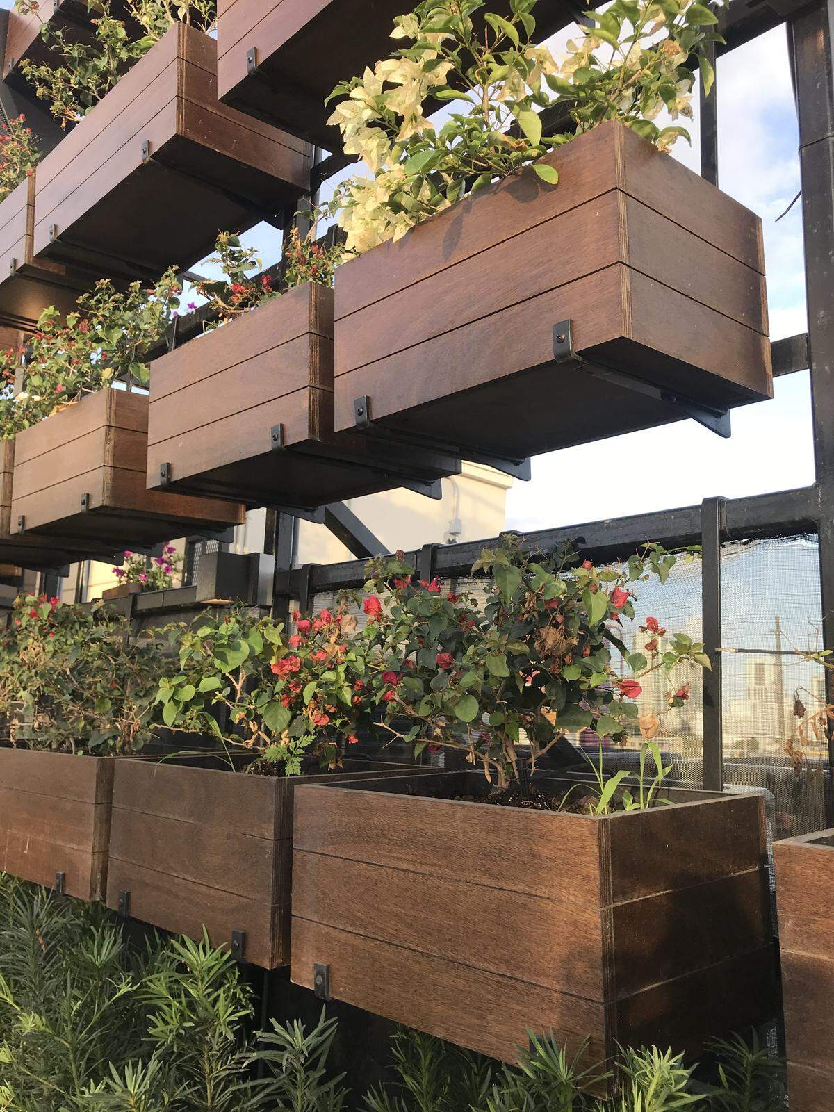 Not every bar has its own garden, but don't be picking your own garnish