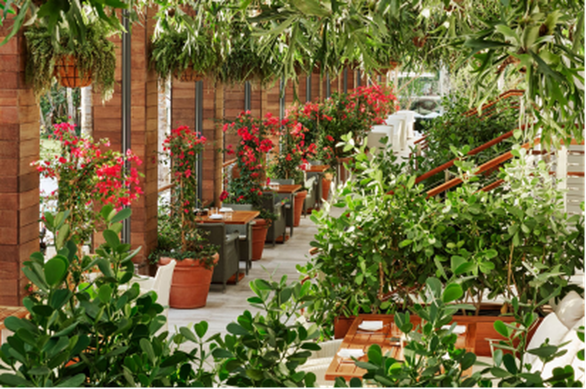 The Terrace at Matador is #gardeninggoals