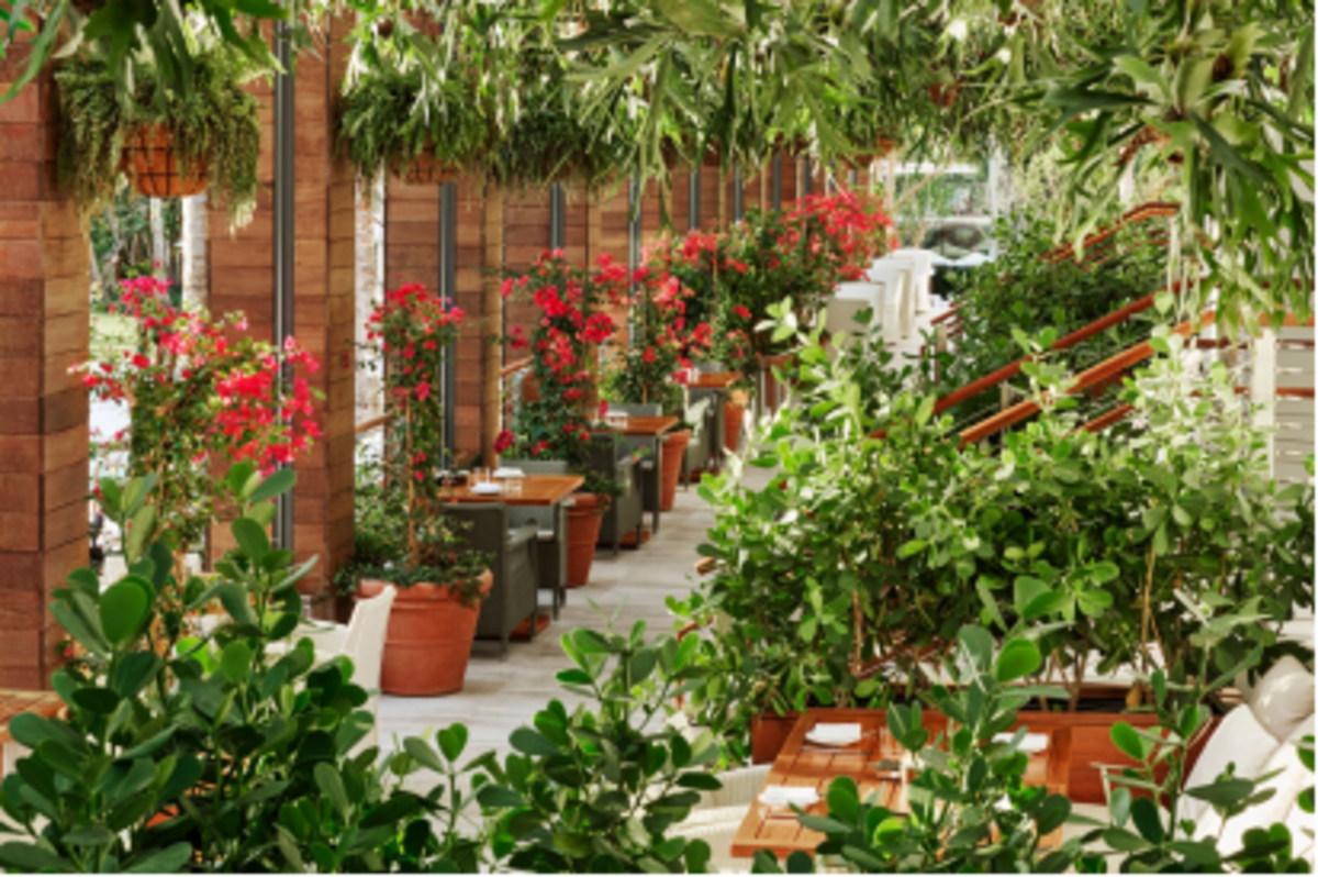 The Terrace at Matador is #gardeninggoals