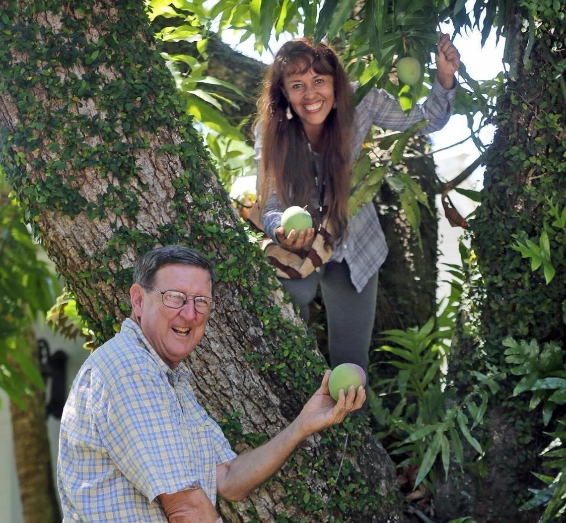 Bruce Matheson holds a Haden Mango along with Noris Lesdesma, Curator of Tropical Fruit from Fairchild Tropical Botanic Garden at the site of what could possibly the be first Haden Mango tree in South Florida.